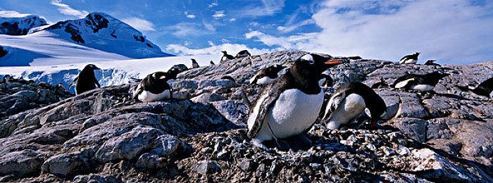 《寂静岭2》重制版已在韩国地区进行分级
